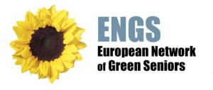Logo_ENGS