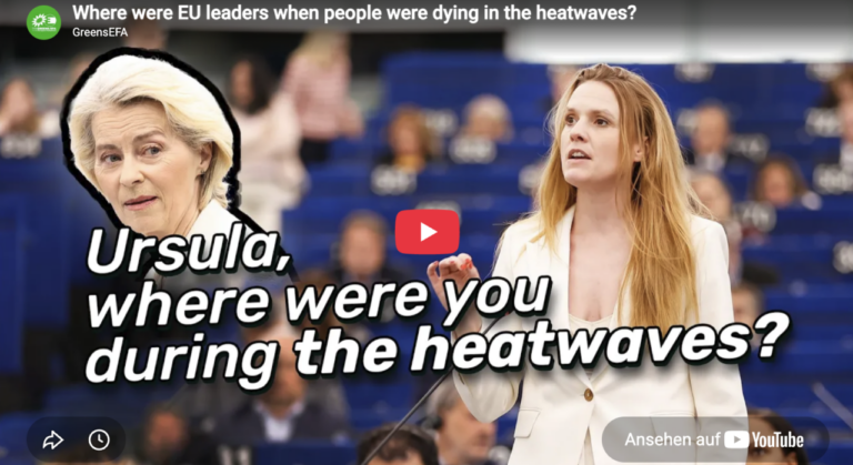 35,000 deaths due to the last heatwave in Europe – Terry Reintke in the European Parliament